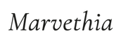marvethiashop.com – Inicio